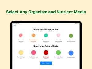 StreakLab! – Microbiology Lab screenshot 2