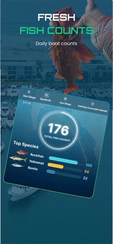 Fish City: Real Fish Counts screenshot
