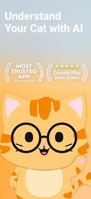 SuperCat.AI screenshot 1