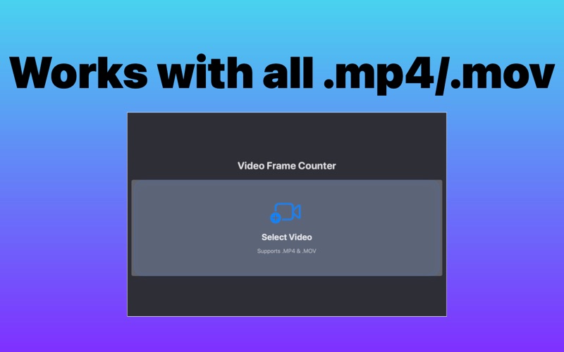 Frame Count Viewer screenshot