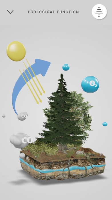 Wood goes Europe Screenshot
