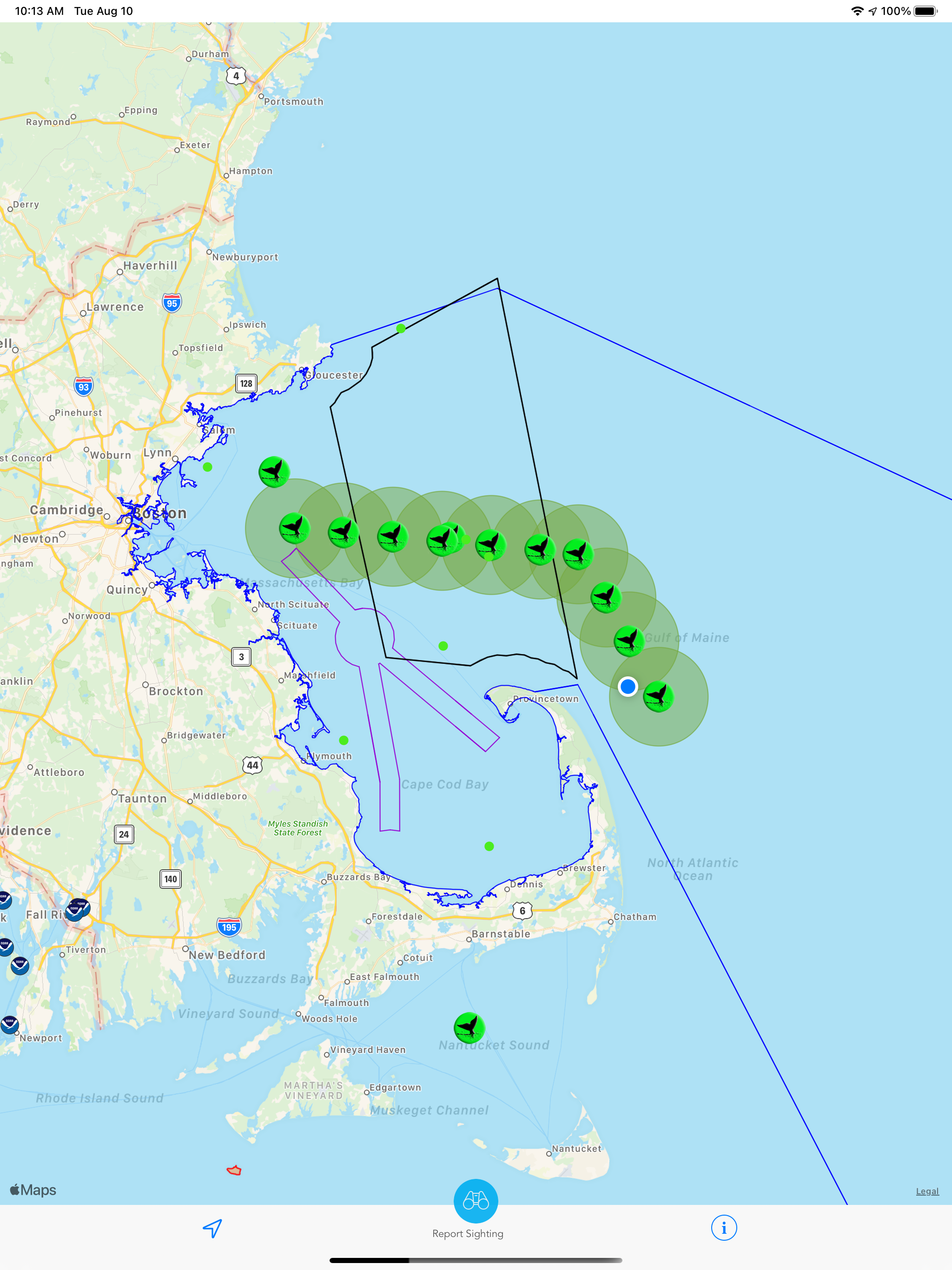 Whale Alert