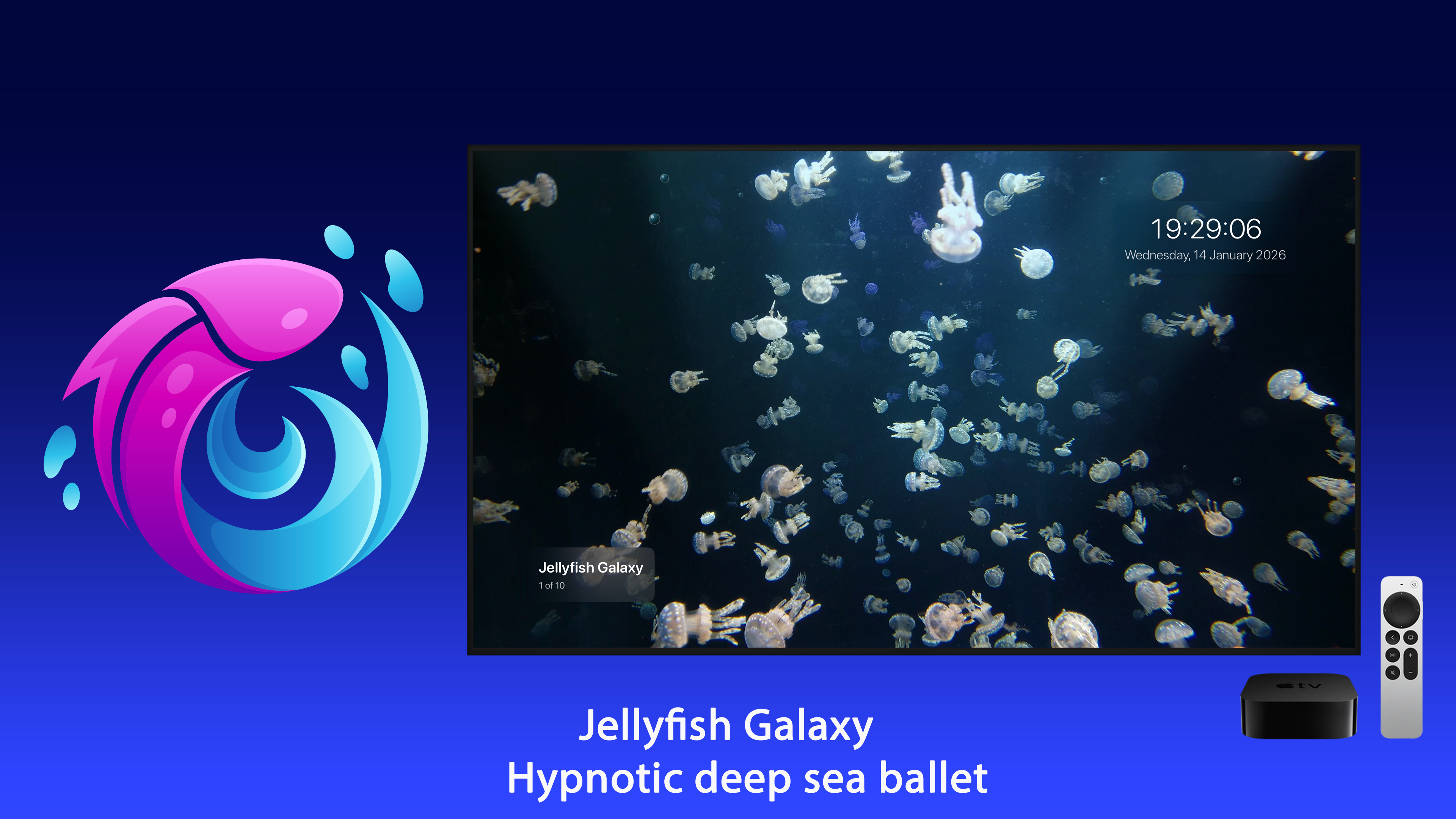 Live Aquarium: Ambient Fish 4K screenshot 6