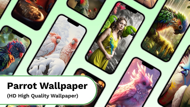 Parrot Sounds & 4K Wallpapers