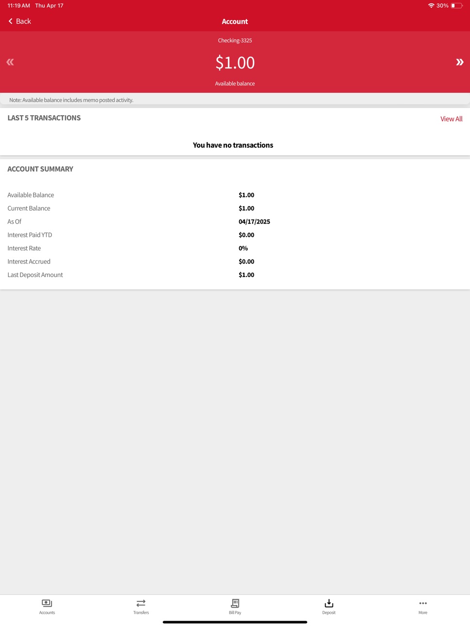 iPad screenshot