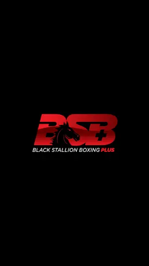 Black Stallion Boxing Plus screenshot 1