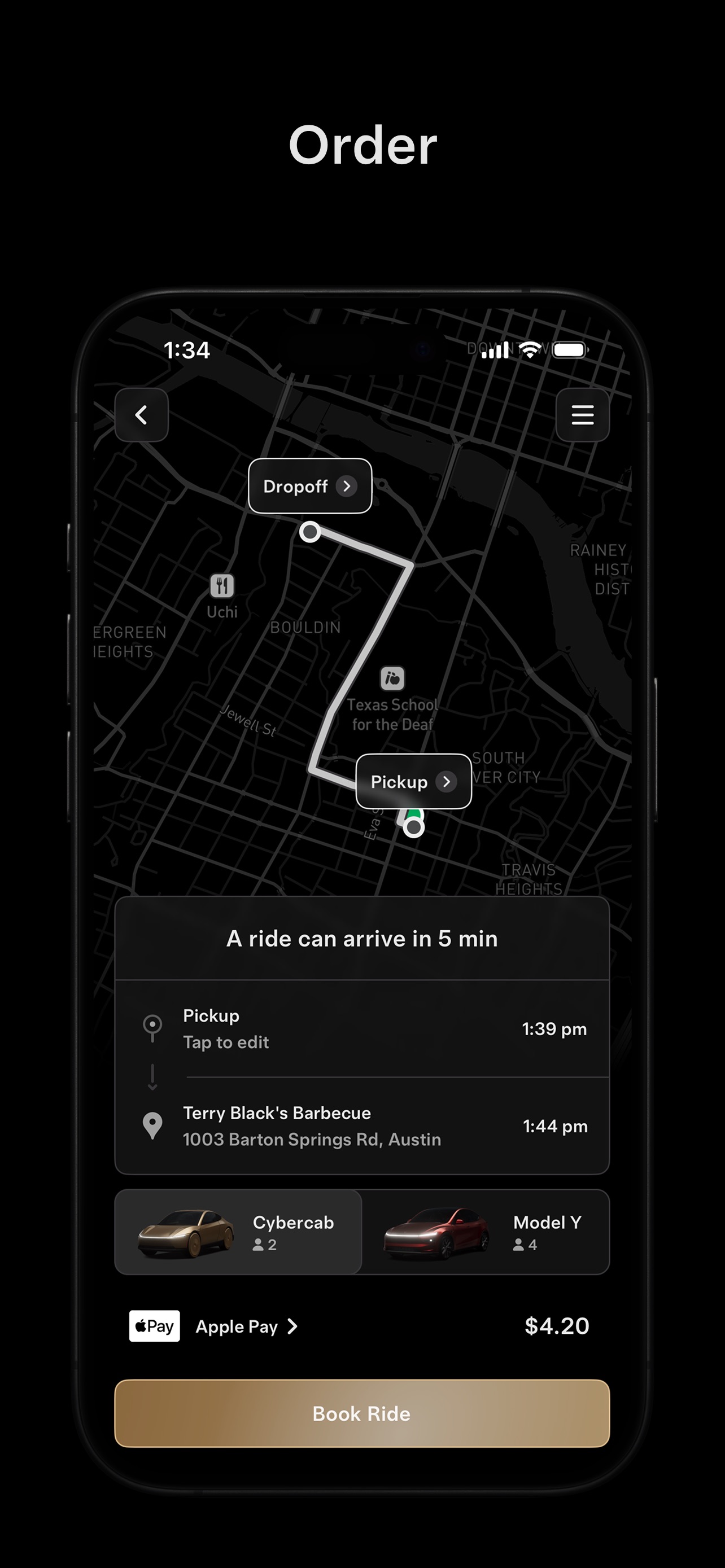 Tesla Robotaxi screenshot 1