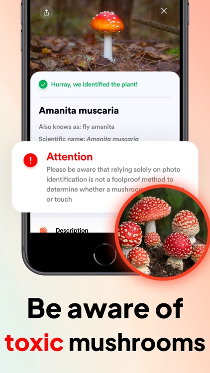 Mushroom Identifier: Fungi ID.