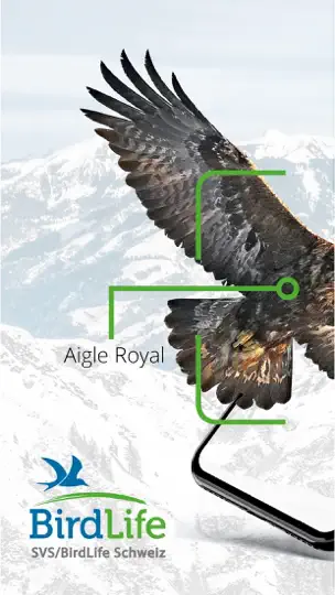 Vogelführer Birdlife Schweiz iPhone-skjermbilde 1