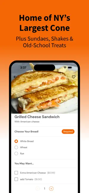 Cobleskill Diner screenshot 4