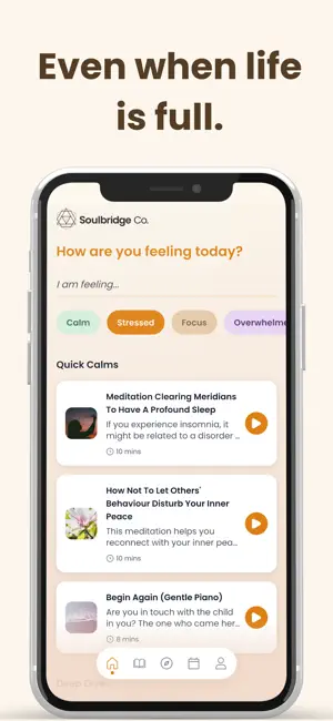 Soulbridge Co screenshot 4