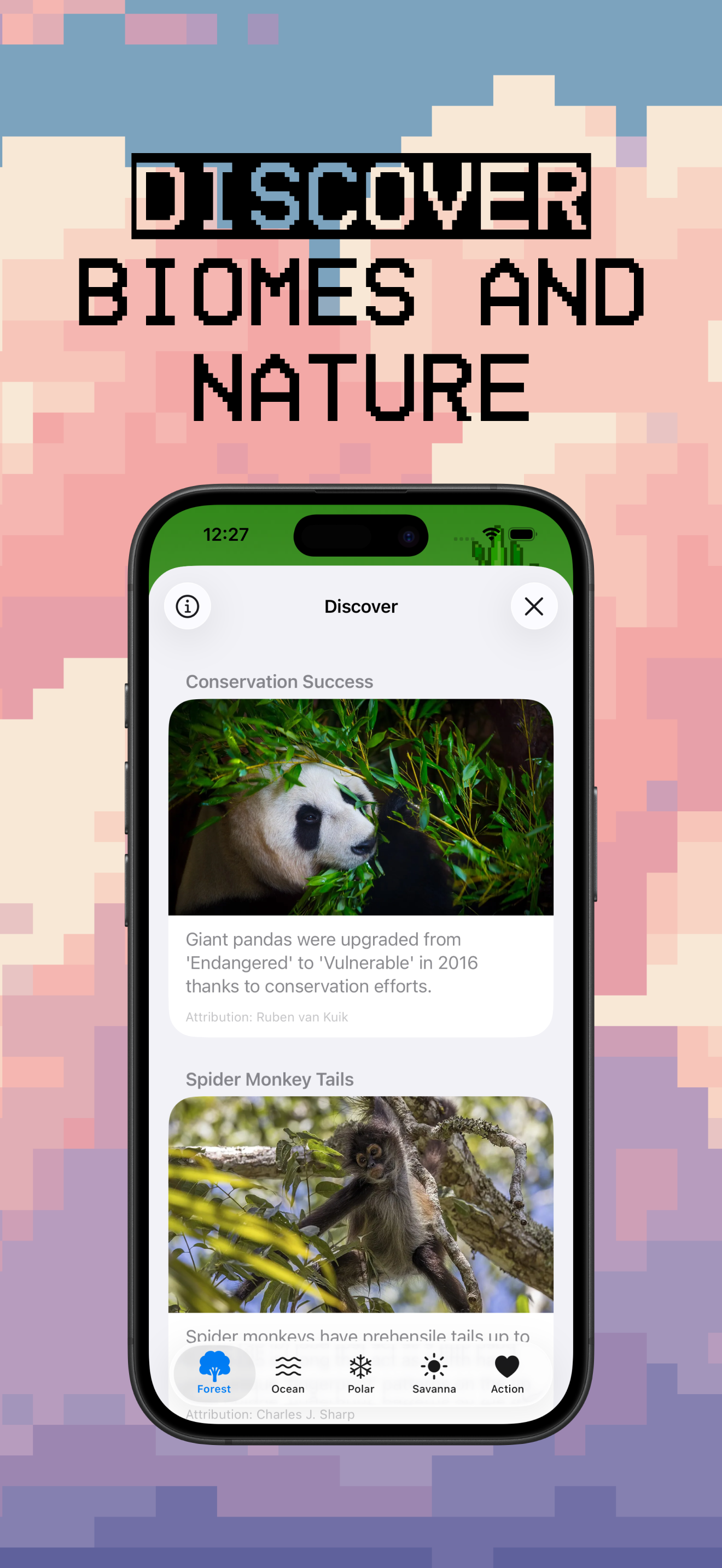 Panda Friends screenshot 5