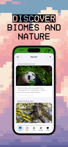 Panda Friends Screenshot 4 of 8