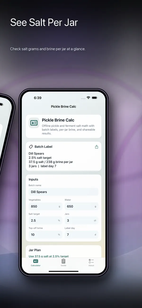 Screenshot #2 pour Pickle Brine Calculator