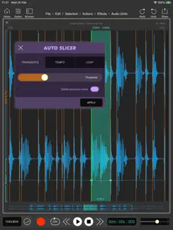 Wavebox Audio Editor iPad image 4