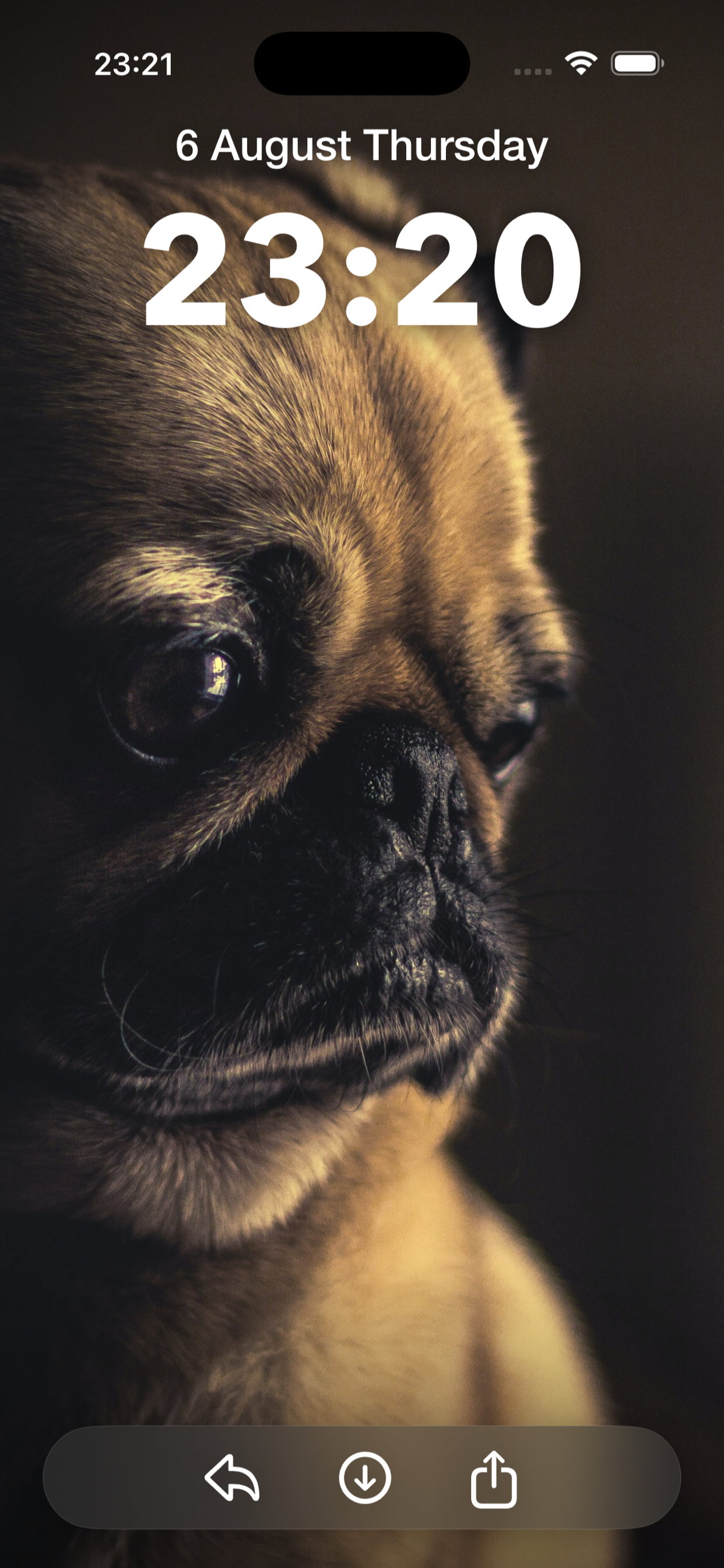 Walpium: Live Wallpapers 4K HD screenshot 10