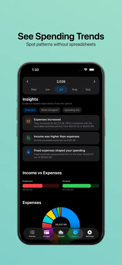 Wise budget screenshot 3