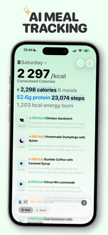 Calorie Tracker – Numi AI Screenshot 1 of 4