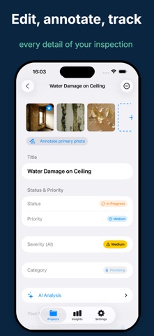 Punch List AI: Site Audit iPhone screenshot