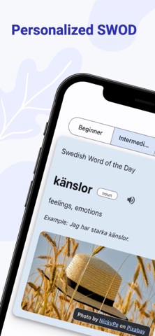 SWOD screenshot