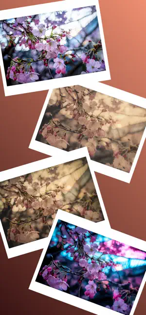 Wa Camera - Japanese Filters screenshot 4