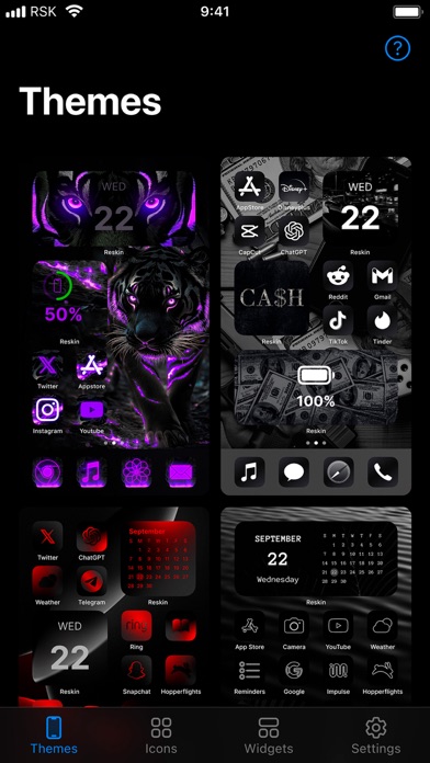 Reskin: Themes, Widgets, Icons Screenshot
