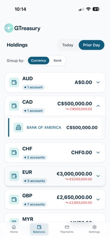 GTreasury screenshot
