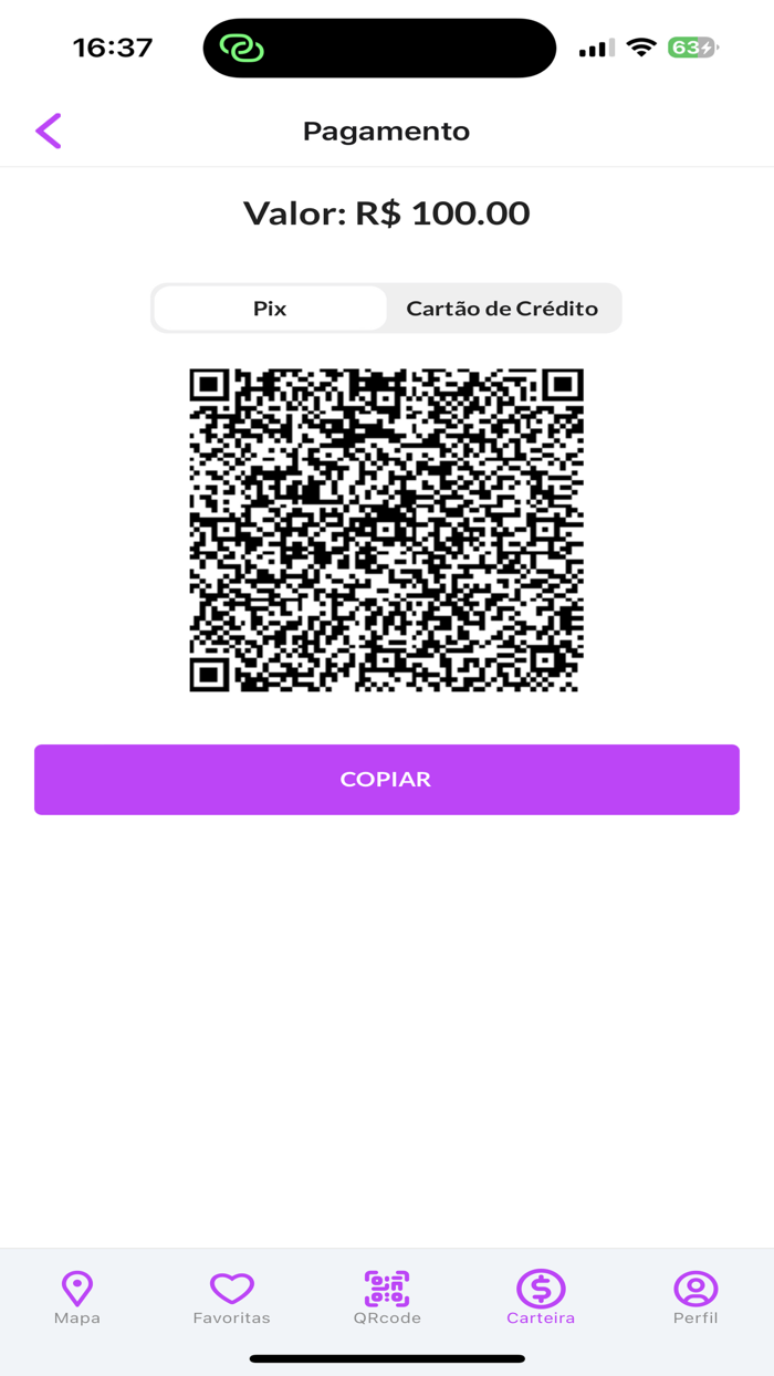 Descarbonize Charger