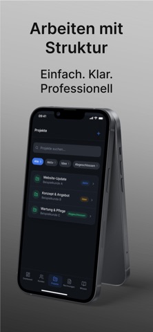 Business Organizer screenshot