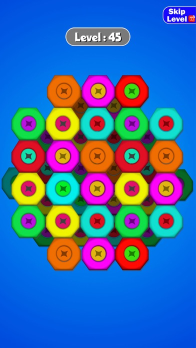 NutBoltScrewSortPuzzle Screenshot