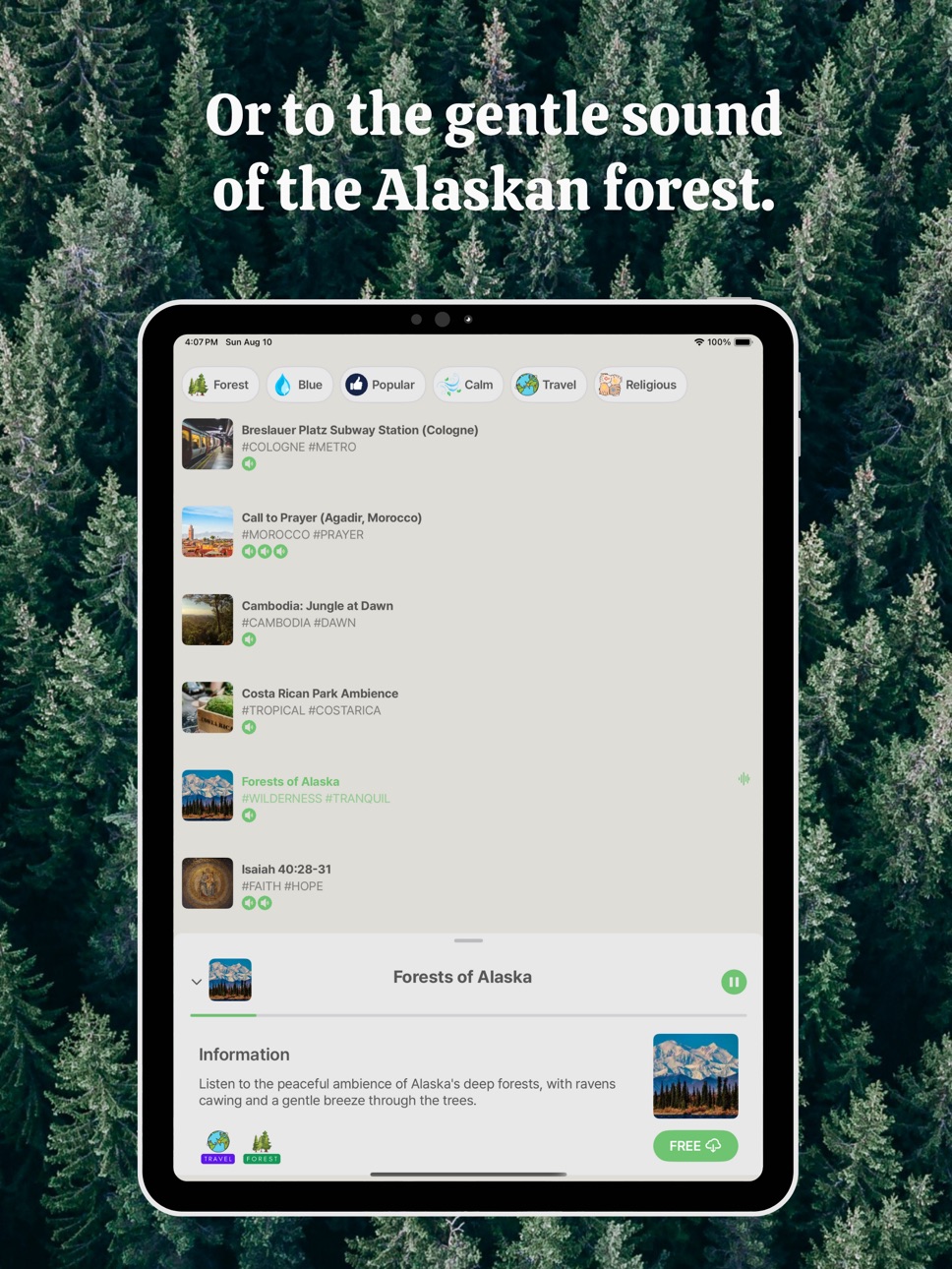 iPad screenshot