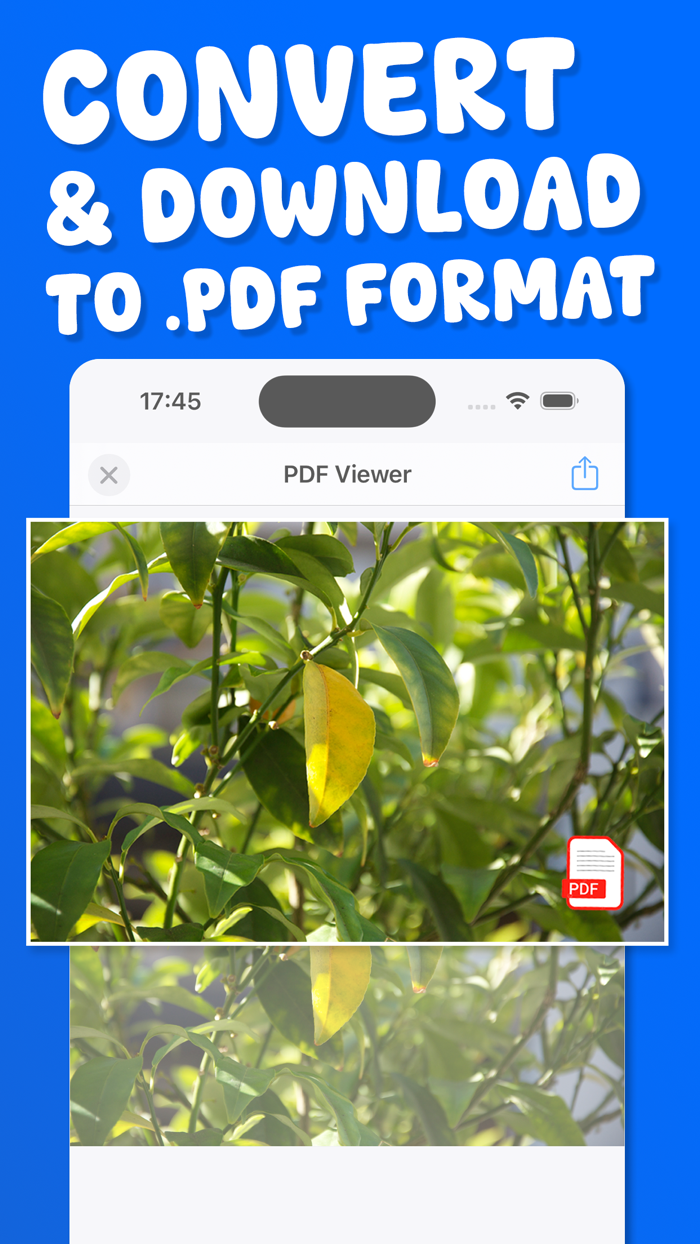 Convert Photo JPEG HEIC to PDF