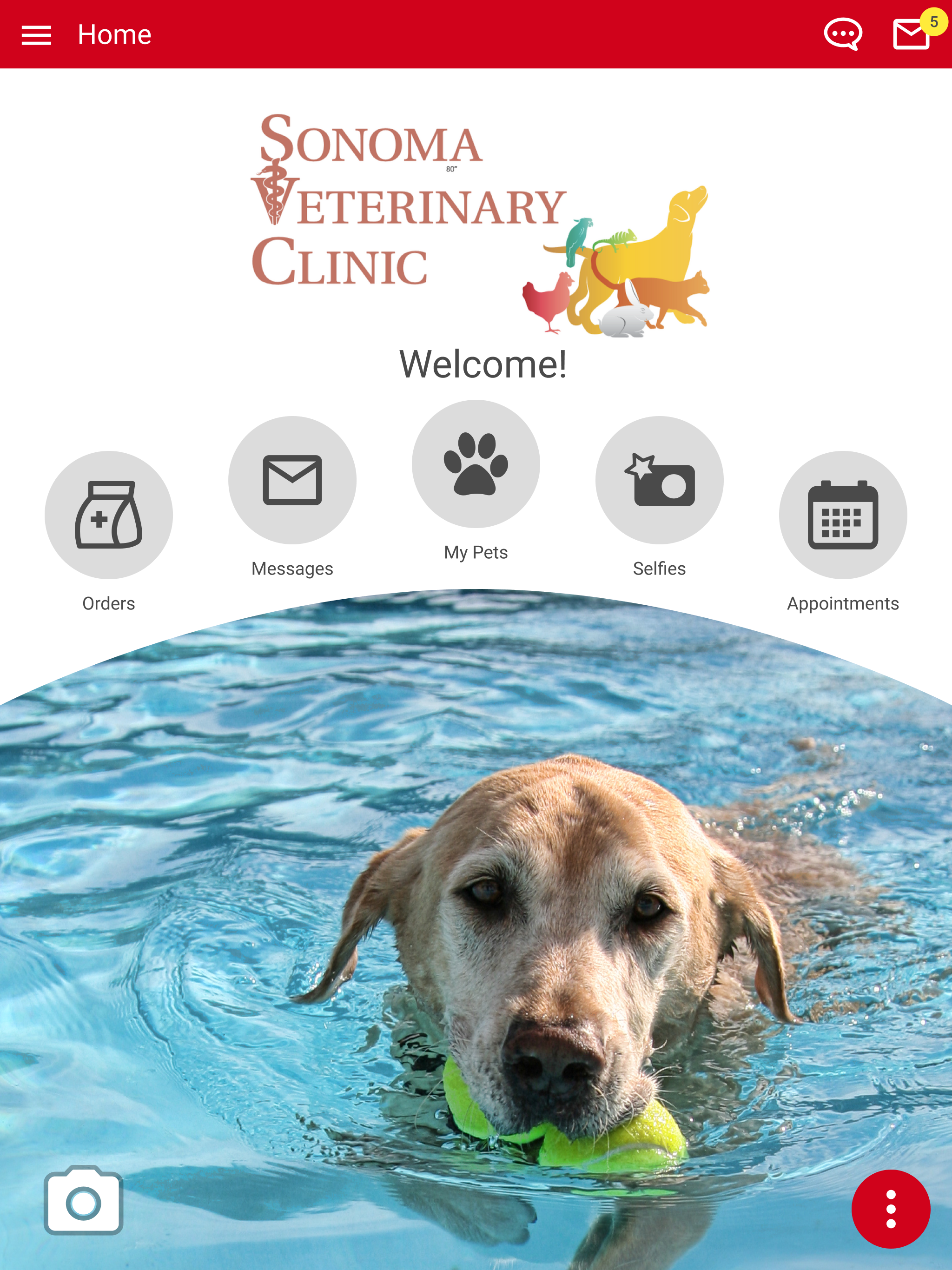 Sonoma Vet Clinic screenshot 11