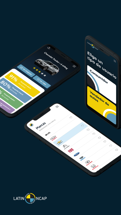 Latin NCAP Screenshot