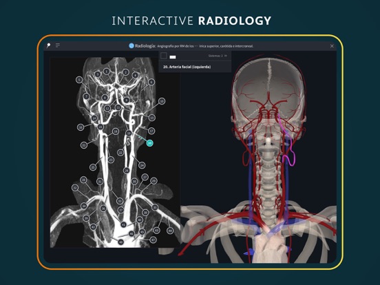 Complete Anatomy for iPad iPad app afbeelding 8