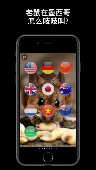 Animal Sounds Translator screenshot
