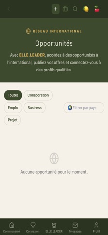 Elle.app screenshot