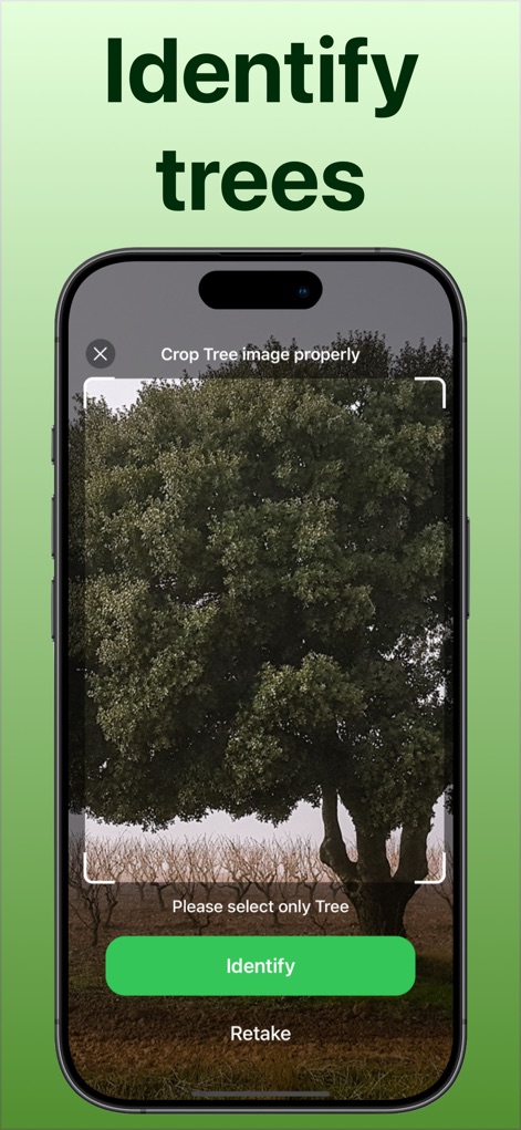 Tree Identifier: Tree id - App de Educación | MWM