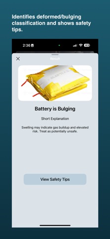 Pouch Cell Inspector screenshot