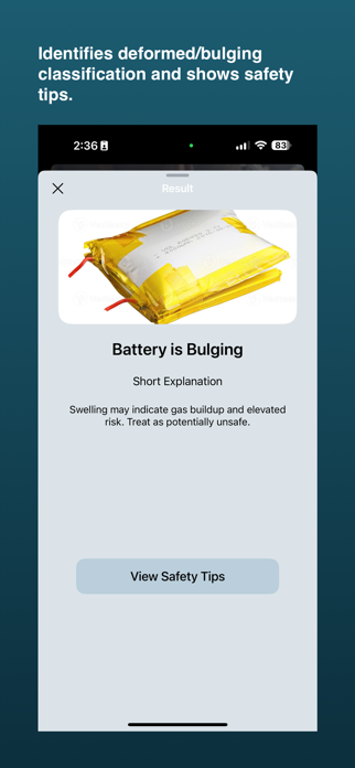 Pouch Cell Inspector Screenshot 4 of 6