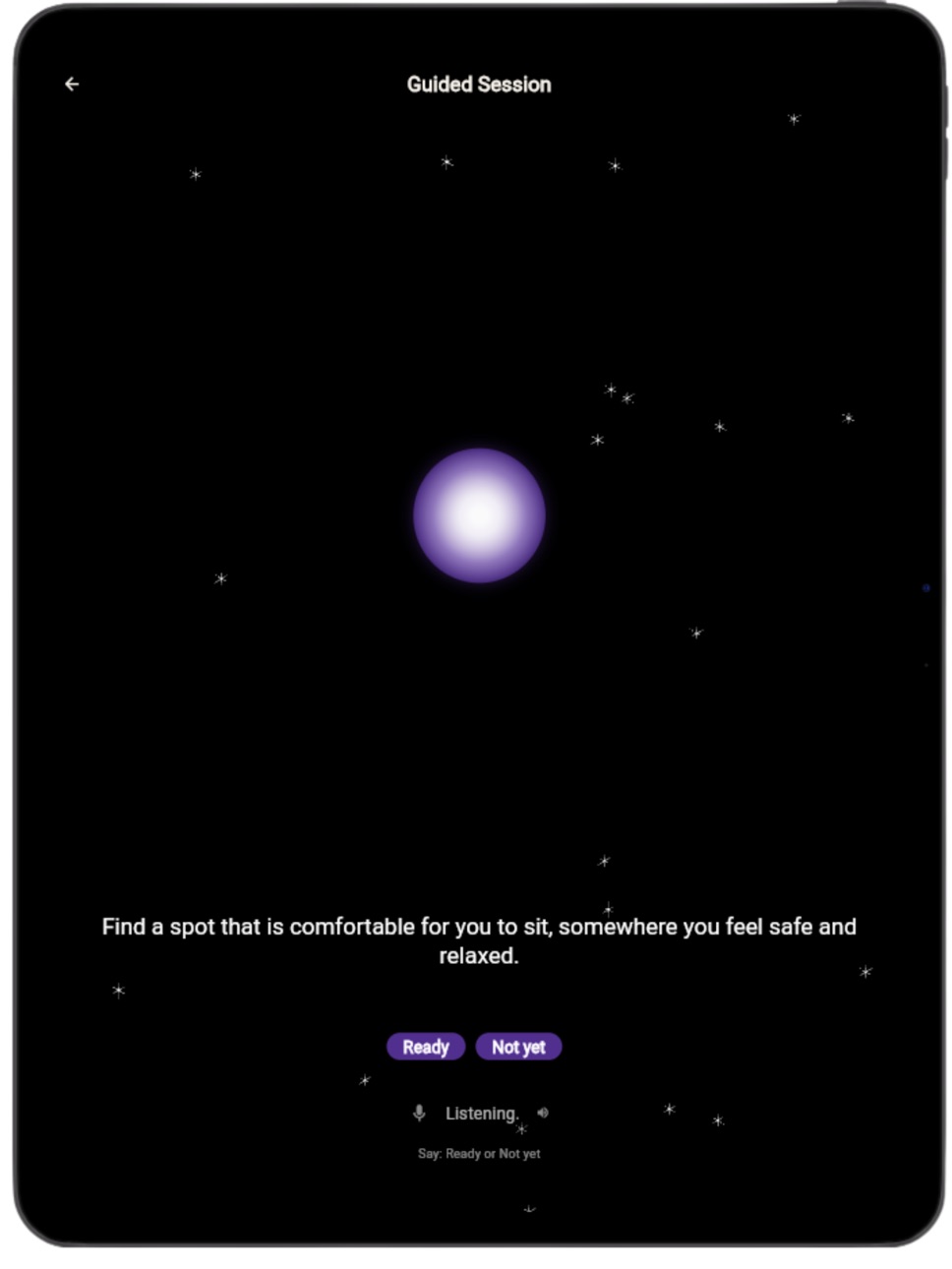 iPad screenshot