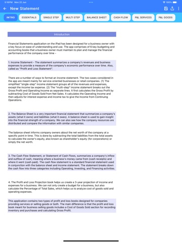 Financial Statements iPad screenshot