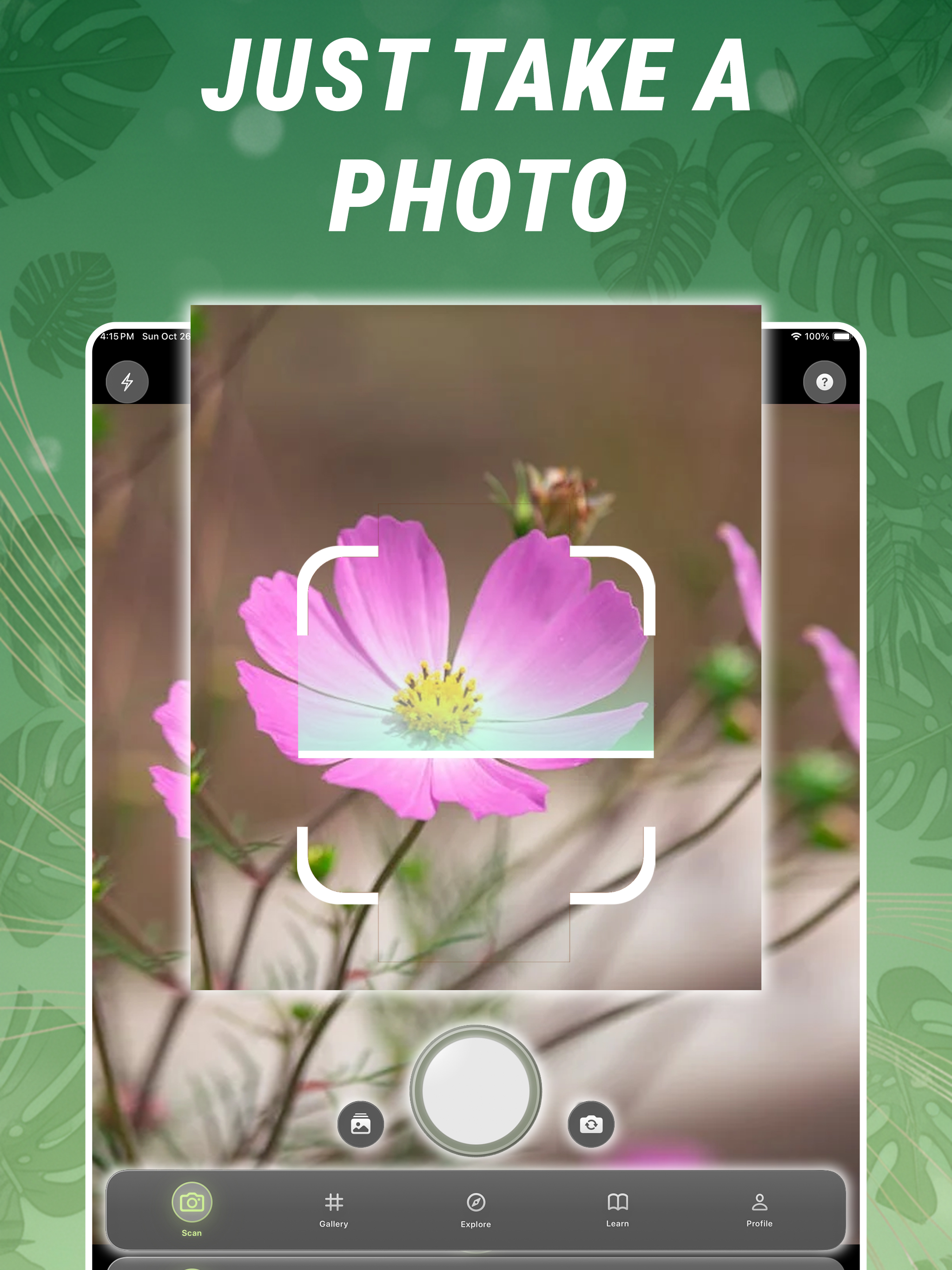 Plant Identifier & Benefits