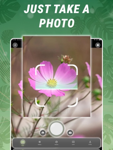 Plant Identifier & Benefits iPad screenshot