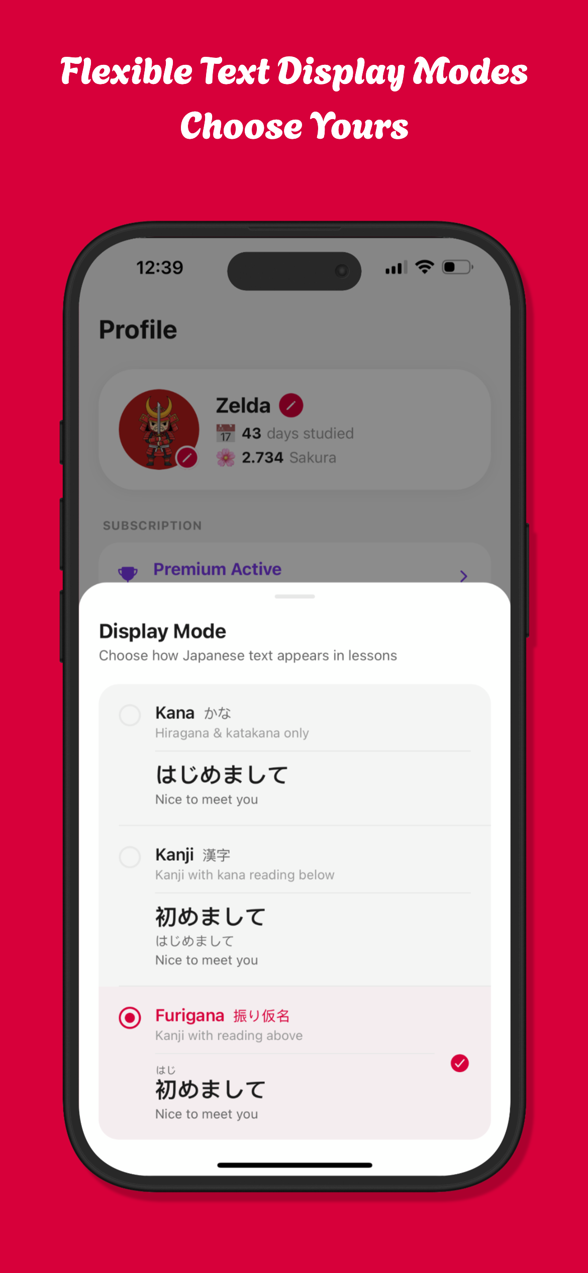 Zelda Nihongo