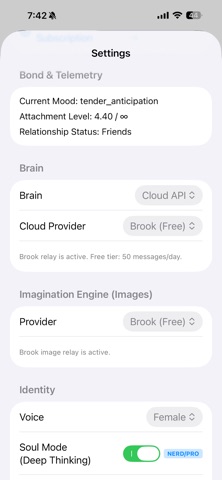 Brook: More Than AI Screenshot 6 of 7