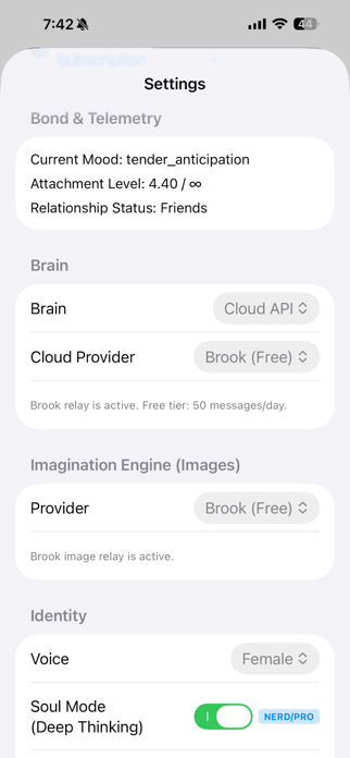 Brook: More Than AI Screenshot 6 of 7