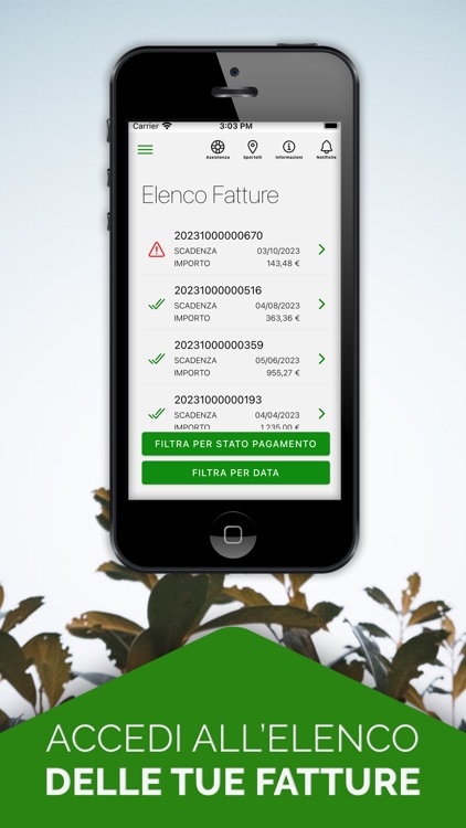 Energia Sostenibile screenshot-3