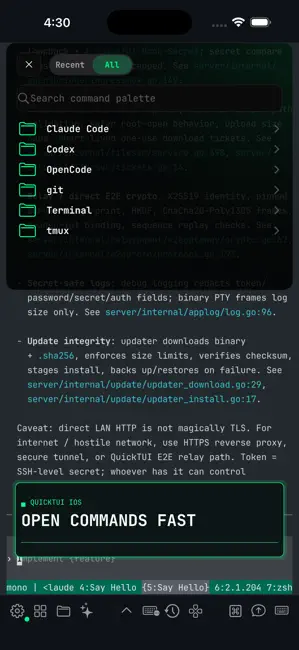 QuickTUI - AI Agent Terminal iPhone screenshot 2