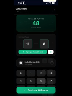 Domino contador de puntos screenshot 8